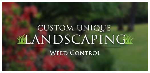 Weed_Control